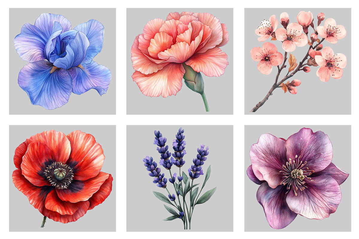 Watercolor Flower Collection Clipart, an Illustration by Black Bird Studio (Photo 3 of 5)