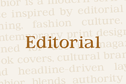 Jenbior - A Modern Editorial Serif, a Serif Font by Valentino Vergan (Thumbnail 11 of 14)