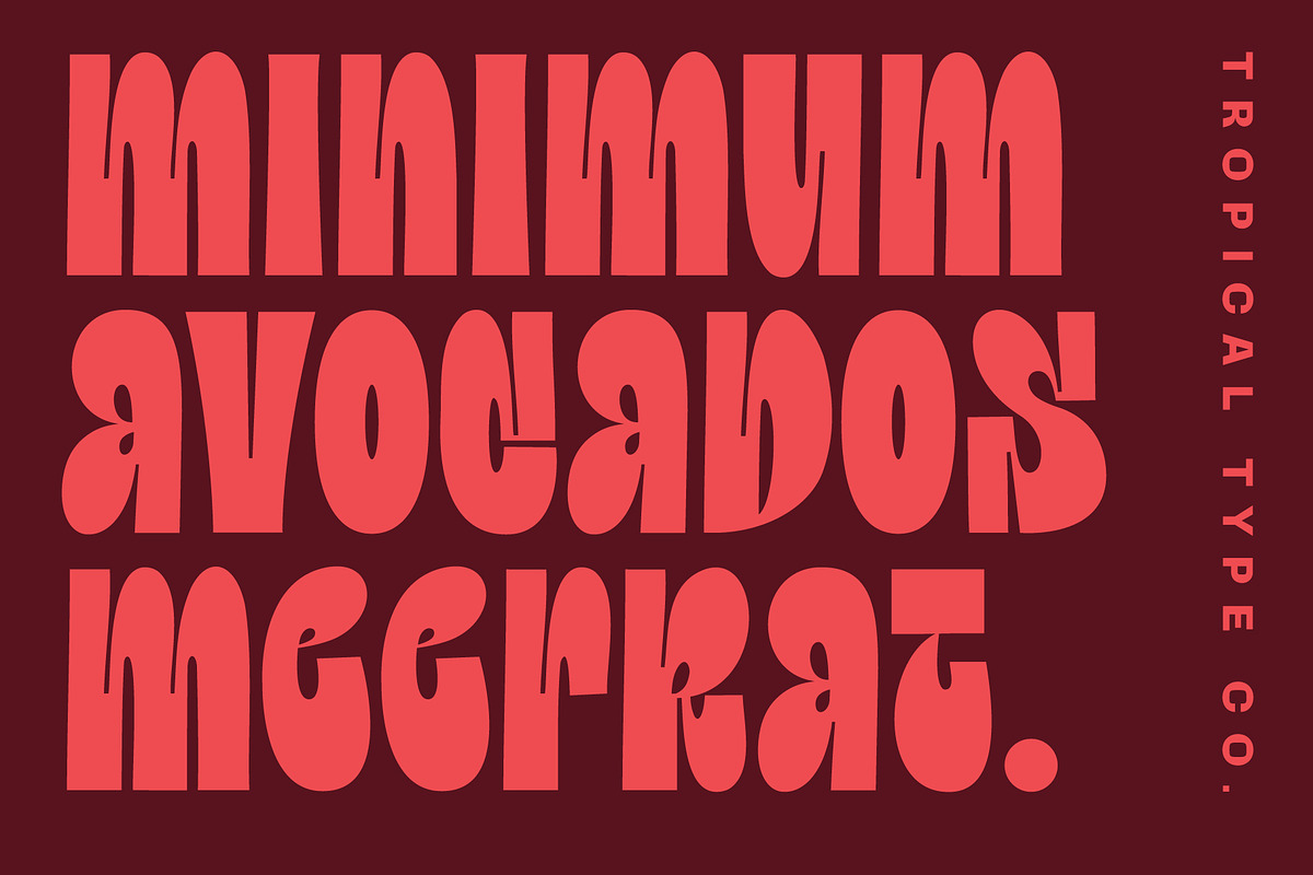 Display Font Collection, a Slab Serif Font by Tropical Type (Photo 20 of 46)