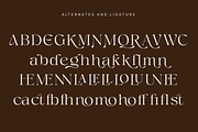 Megalky | Modern Elegant Serif Font, a Serif Font by Rissyletter Studio (Thumbnail 11 of 12)