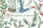 Coniferous patterns collection, a Pattern Graphic by ramika (Thumbnail 1 of 2)