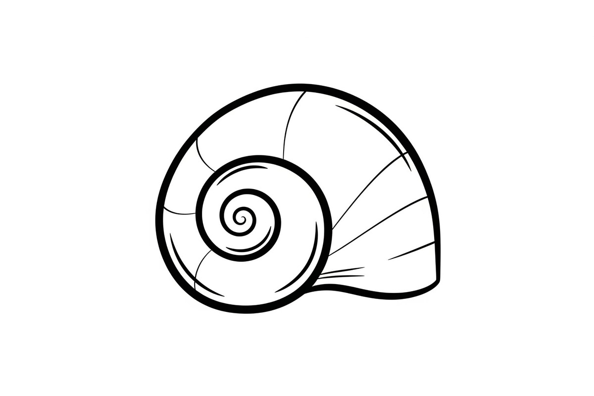 Shell Silhouette Vector Bundle, an Illustration by hafijul (Photo 46 of 48)