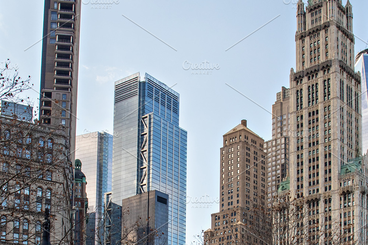 New York City Winter Photos, a Holiday Photo by Full Circle Design Studio (Photo 5 of 14)