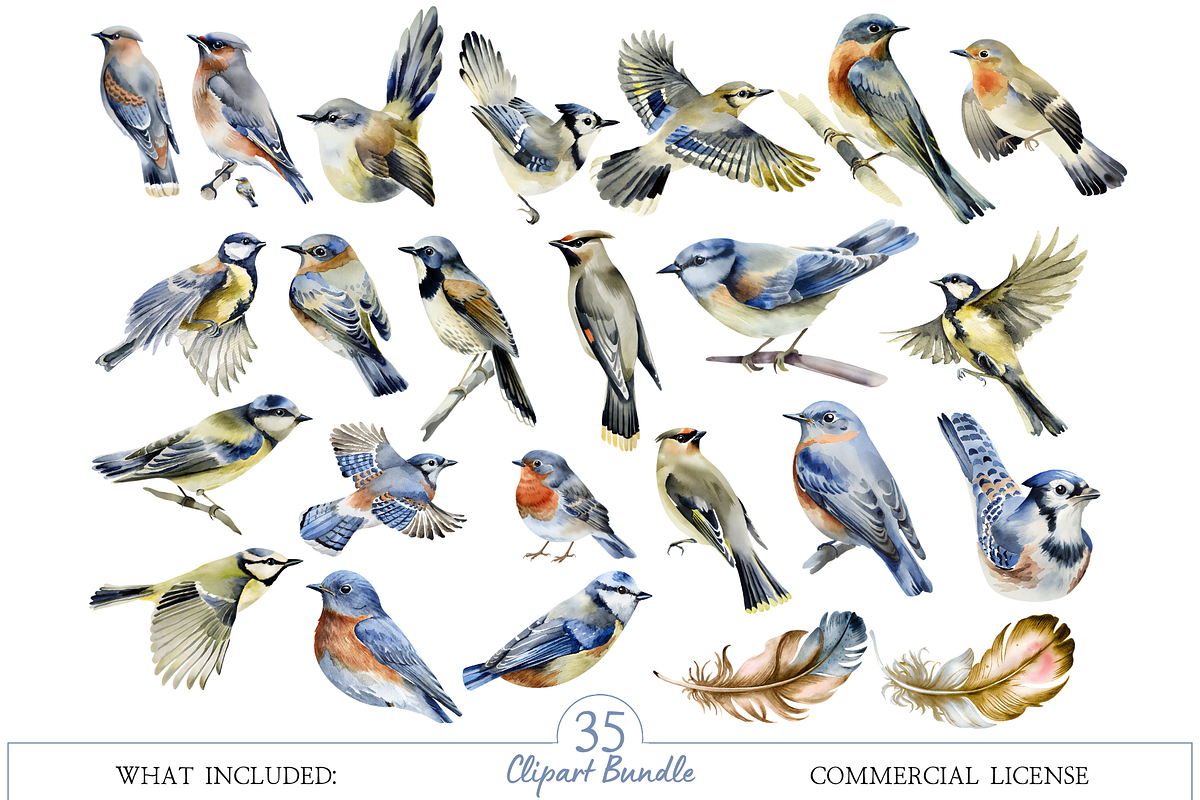 Watercolor Birds Clipart Collection, an Illustration by MockupWizard (Photo 2 of 5)