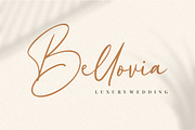 Hollie Mally, a Script Font by Good Java Studio (Thumbnail 3 of 11)