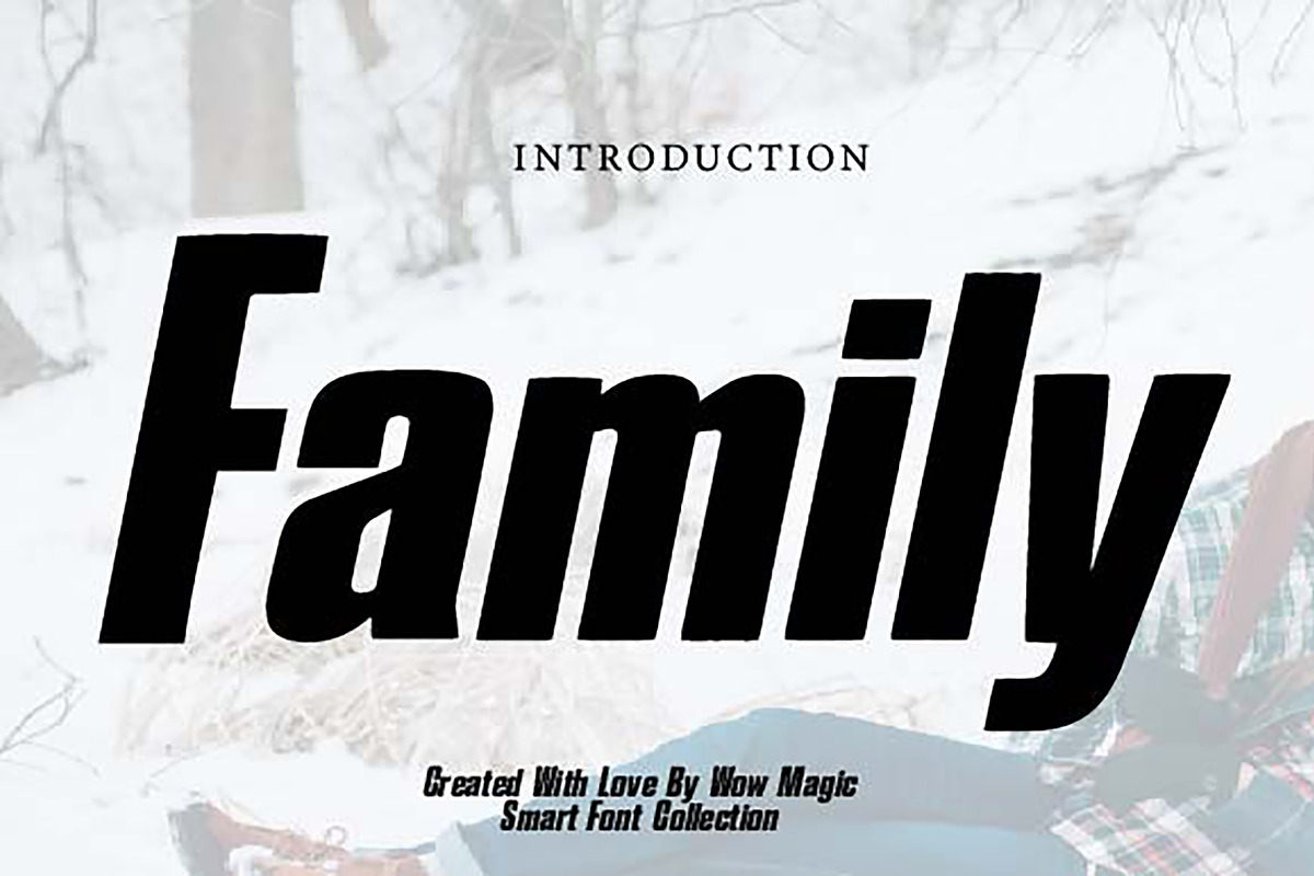 Mega Seasonal Font Bundle, a Sans Serif Font by Wow Magic (Photo 16 of 20)