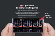 20  Fluorescence LR Presets, a Preset Add-On by SparkleStock (Thumbnail 7 of 9)