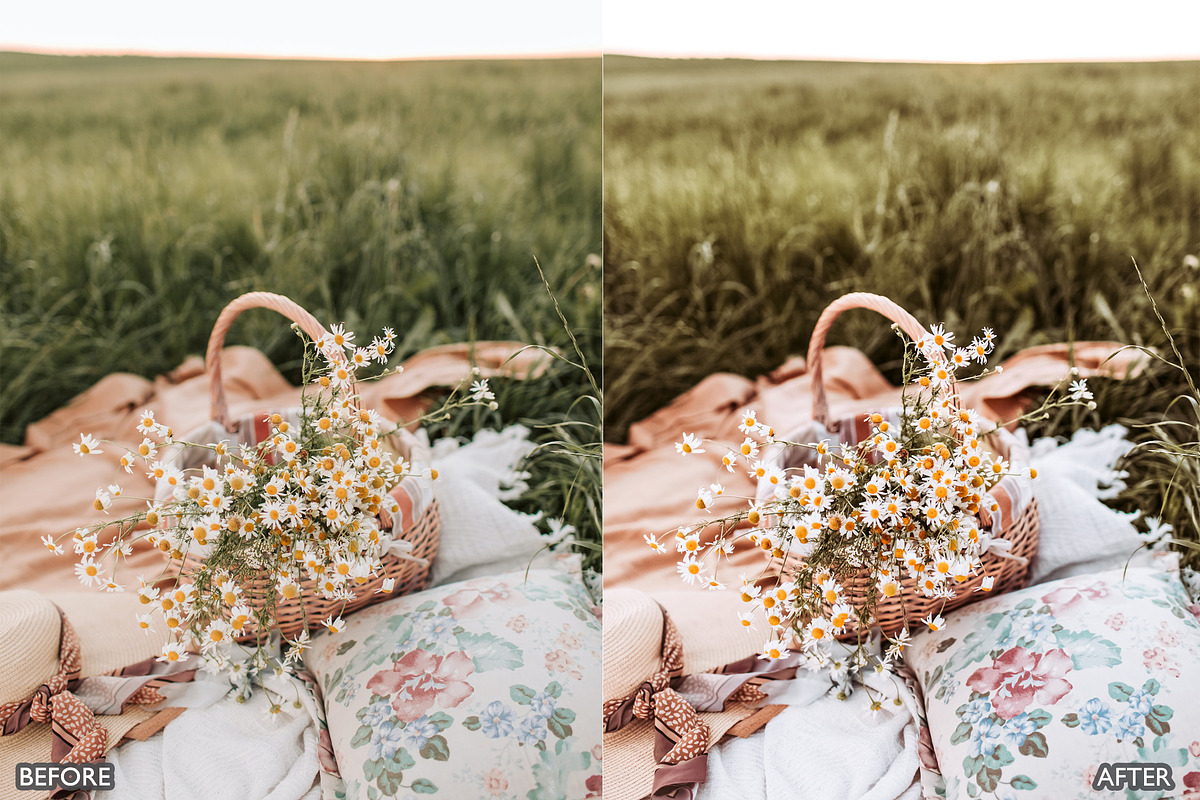 Picnic Outdoor Lightroom Presets, a Preset Add-On by AAA Presets (Photo 6 of 17)