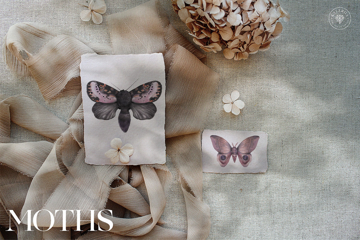 Cicada - Insects & Flowers Ink Set, a Texture Illustration by Kaleriia (Photo 2 of 10)