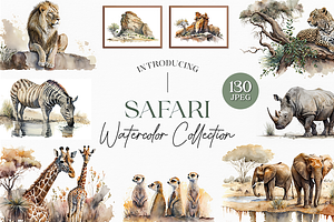 Safari Watercolor Collection