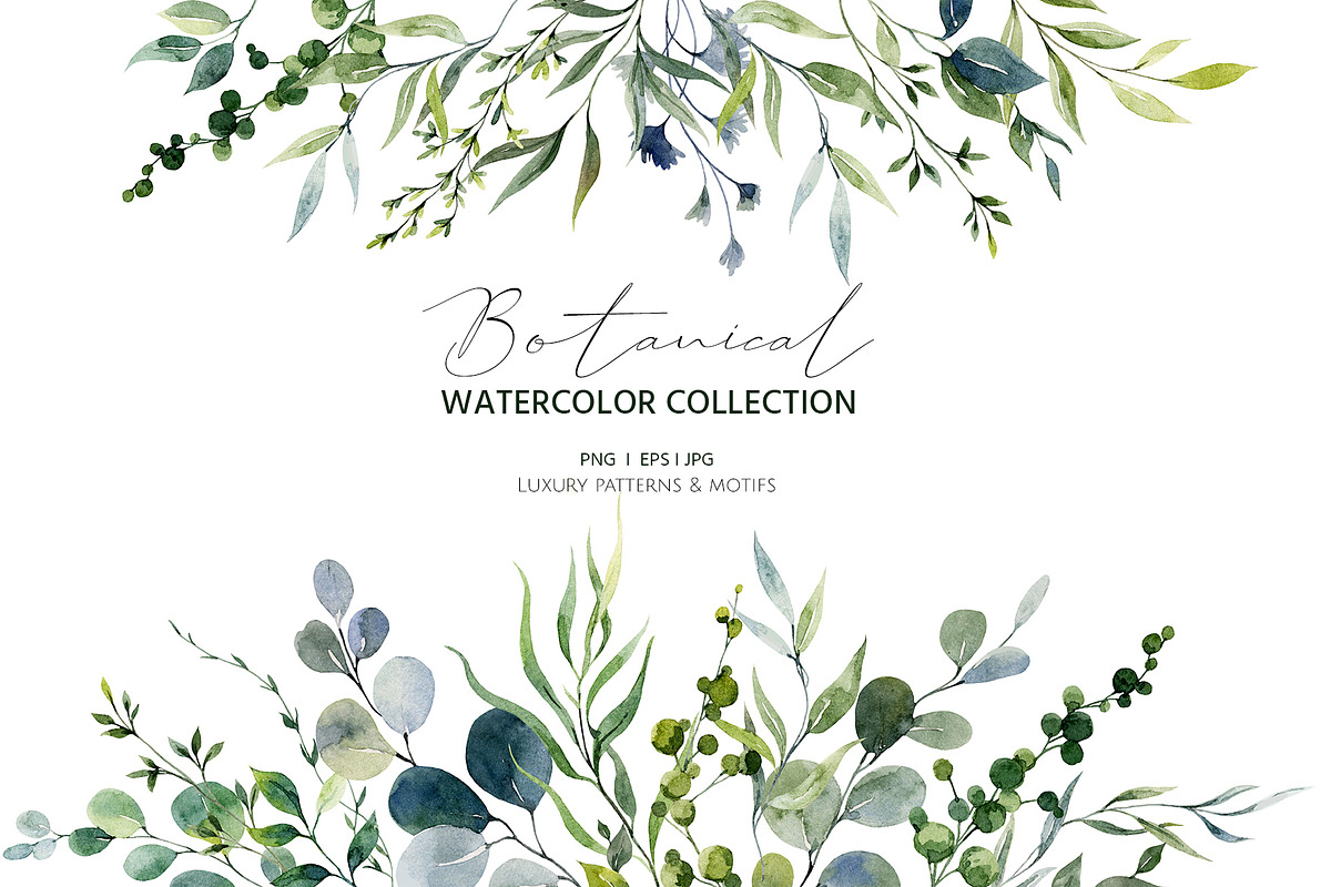 Eucalyptus. Watercolor collection., a Pattern Graphic by HannaStudio (Photo 1 of 9)