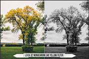 Leica Monochrom Profiles, a Plug-in Add-On by Raztrend (Thumbnail 31 of 31)