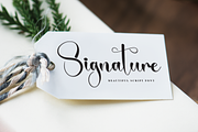 Designer | Script Font, a Handwritten Font by Scratchones (Thumbnail 4 of 9)