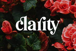 Pioggia | Modern Serif, a Serif Font by Twicolabs Fontdation