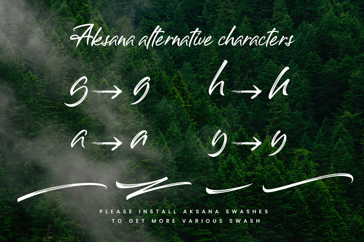 Aksana Brush Business Font preview 5