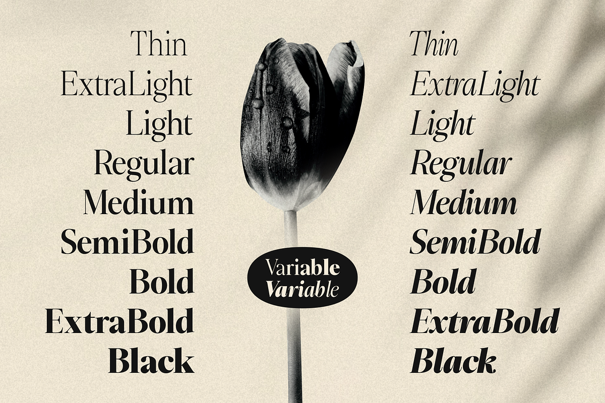 Slotera Calse Family Serif, a Serif Font by Marvadesign (Photo 12 of 12)