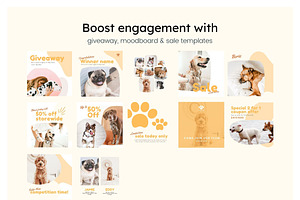 Pets Instagram Feed Canva Templates