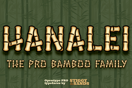 Hanalei Pro Family, a Sans Serif Font by Stiggy & Sands