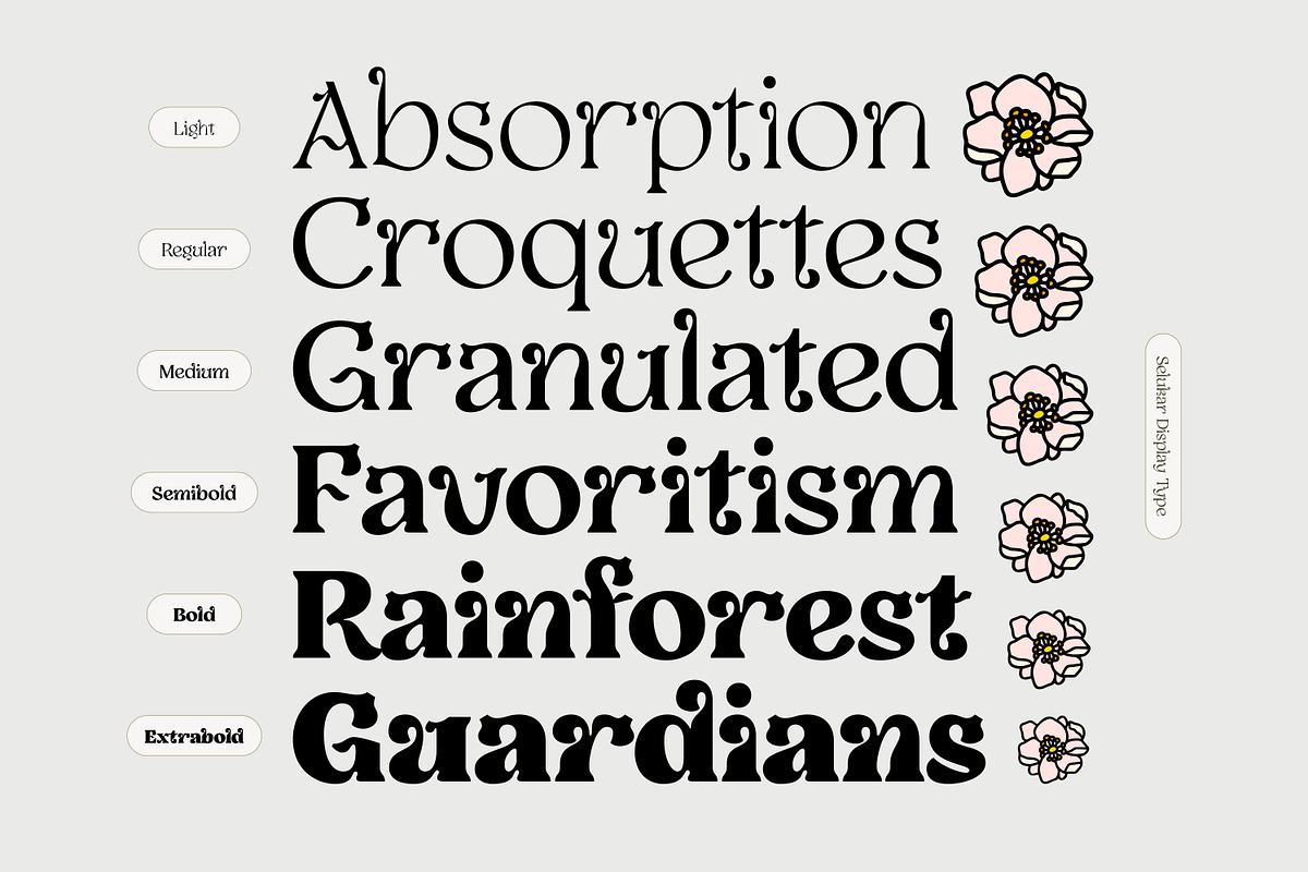 Selukar - Display Variable Font, a Serif Font by Artflorara (Photo 8 of 16)