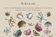 Royal Collage Vintage Botanicals, an Object Graphic by Catch the Dream Art (Thumbnail 6 of 10)