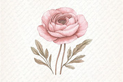 Boho Mother's Day Flowers Clipart, an Illustration by Watercolor design (Thumbnail 8 of 13)
