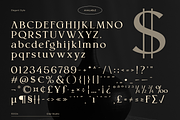 Semaro - Elegant & Luxury Font, a Serif Font by Gilar Studio (Thumbnail 14 of 15)