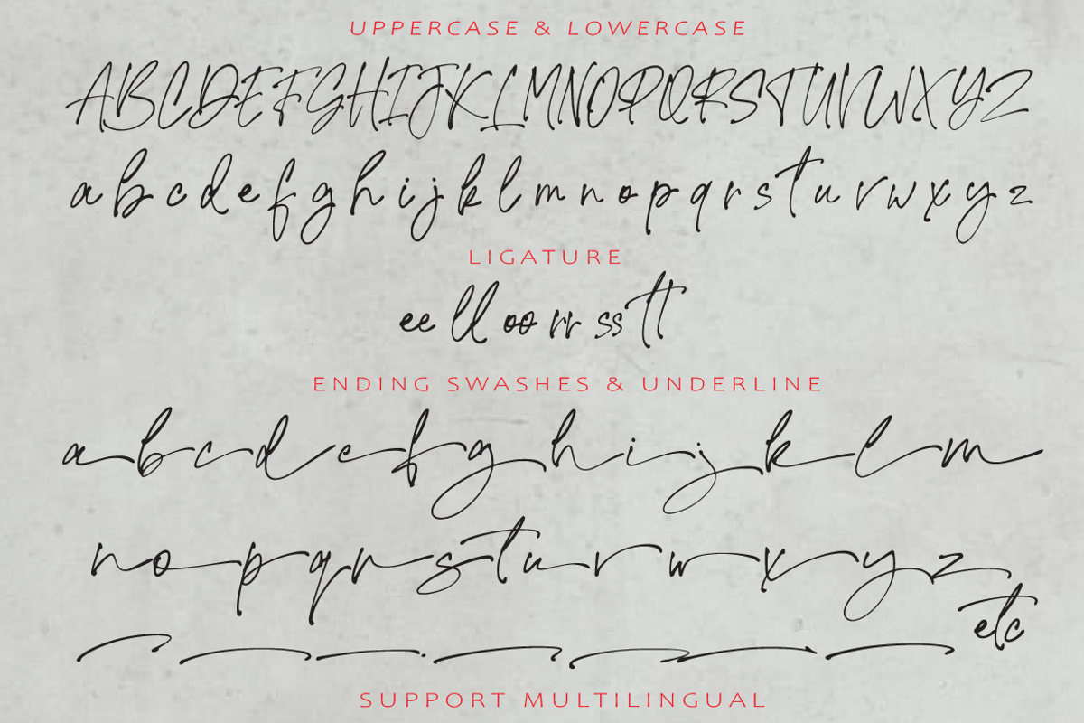 Signature United, a Script Font by AMINMARIO (Photo 7 of 8)