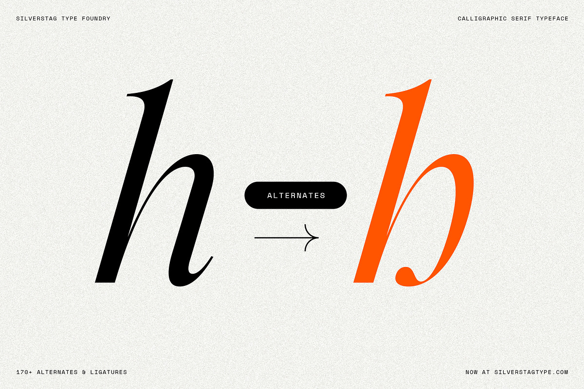 Netsera Calligraphic Serif Typeface, a Serif Font by SilverStag Type Foundry (Photo 28 of 30)