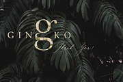 GIN'KO Textured Watercolor Graphics, an Object Graphic by studioequinox (Thumbnail 9 of 9)
