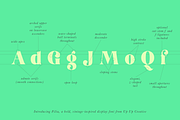 Filia Display Font, a Serif Font by Up Up Creative (Thumbnail 9 of 12)