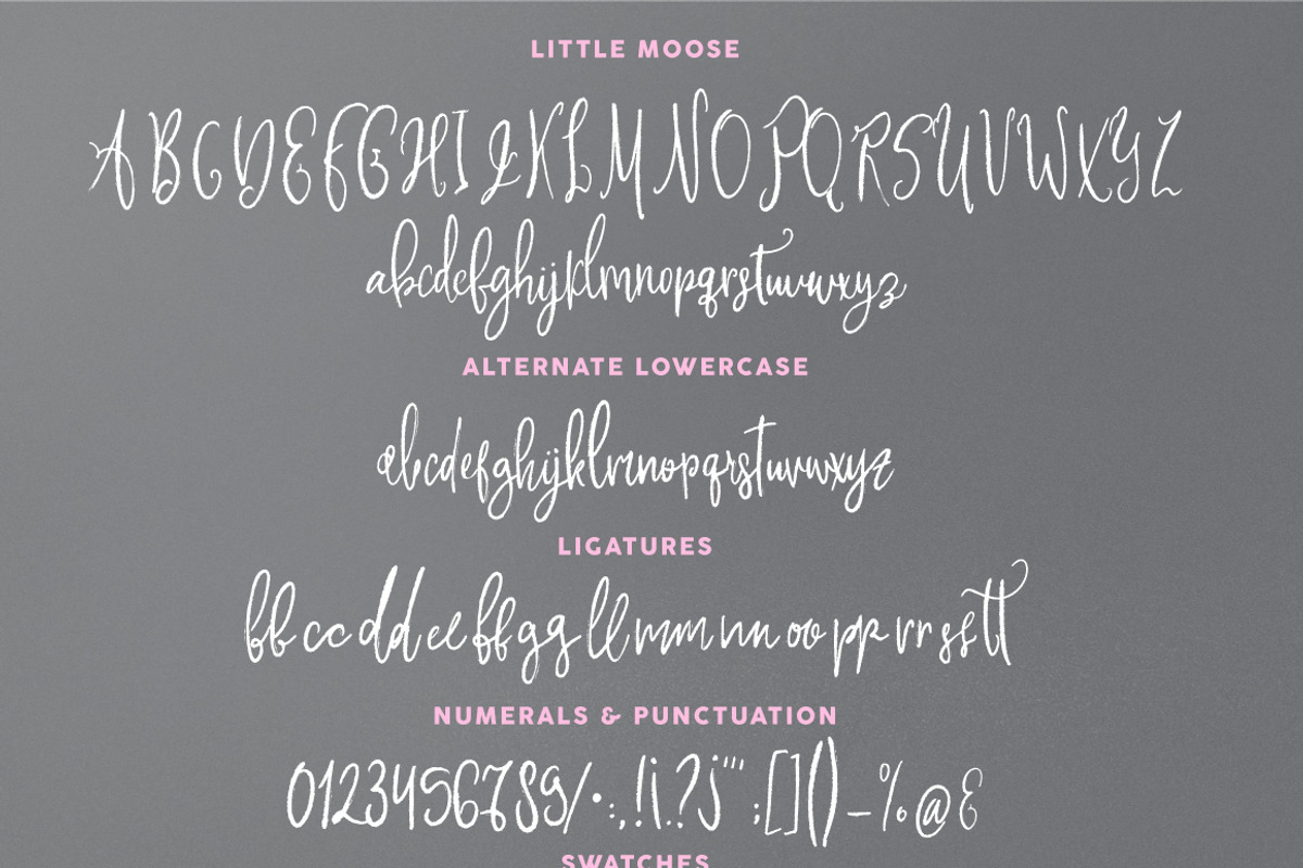 Little Moose Script preview 6