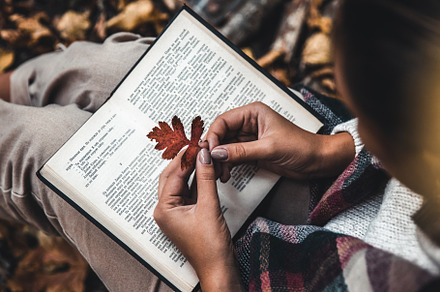 Autumn concept, an open book