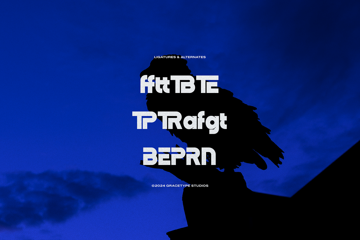 Dejorn | Display Sans Serif, a Sans Serif Font by gracetype_studio (Photo 11 of 12)