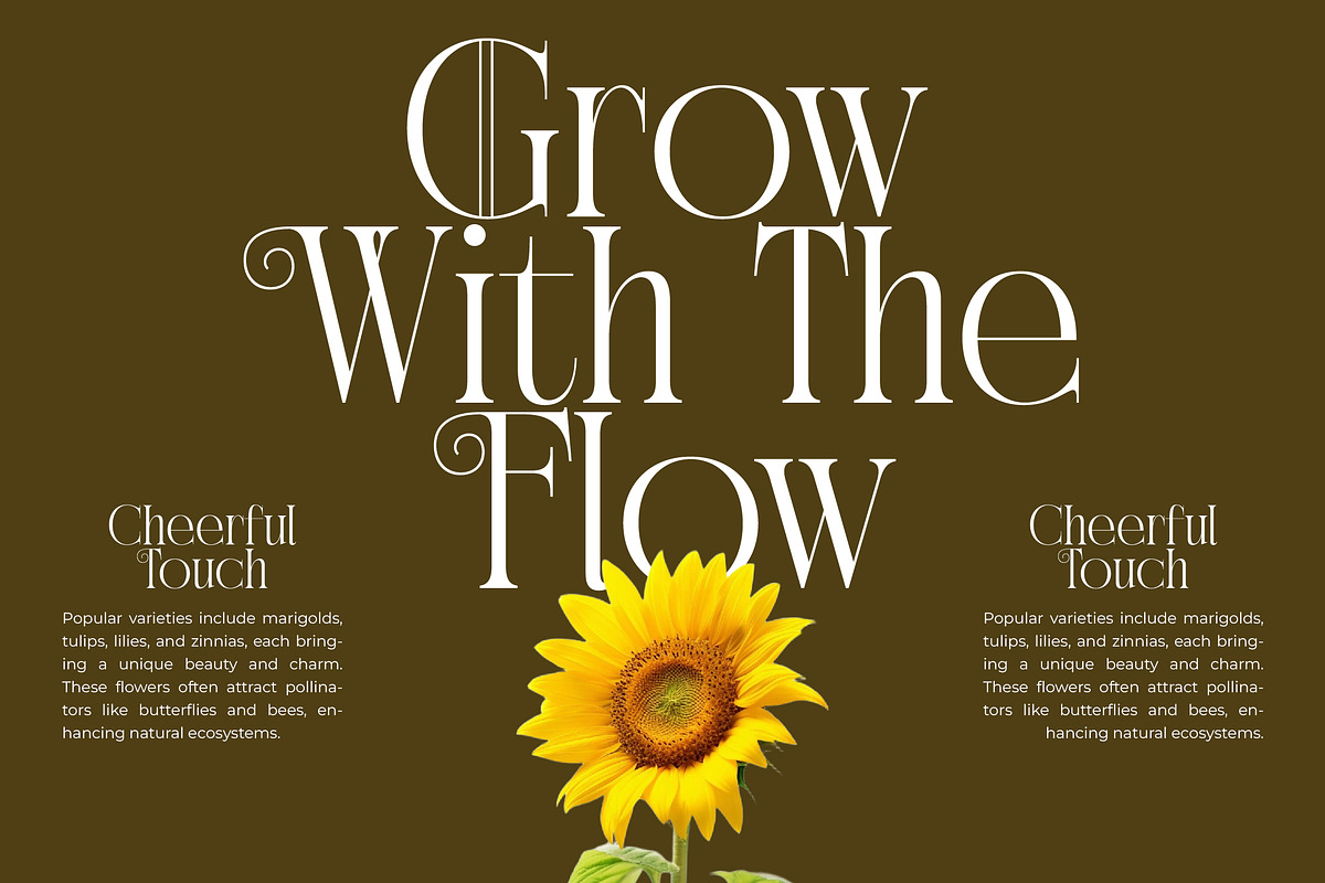 Exago Maona Vintage Serif Display, a Serif Font by timelesstype.co (Photo 3 of 20)