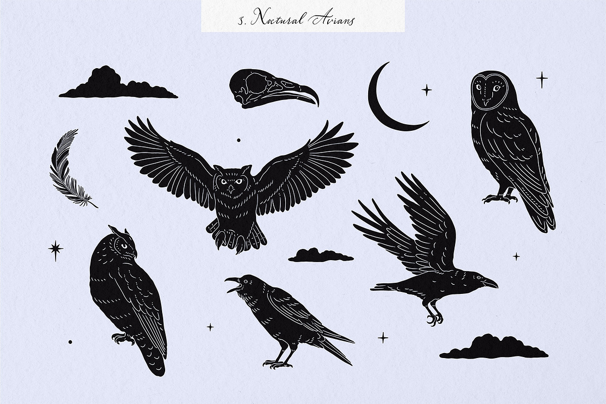 Enchanted Wonders 2 in 1 Graphic Set, a Decorative Illustration by rouxsupplyco (Photo 5 of 19)