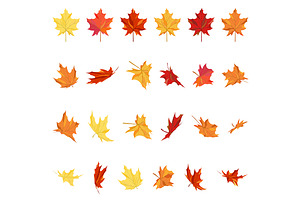Maple Leaves Set