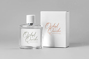 Nourisha Besthafi Stylish Font, a Script Font by stylishtype.co (Thumbnail 13 of 20)