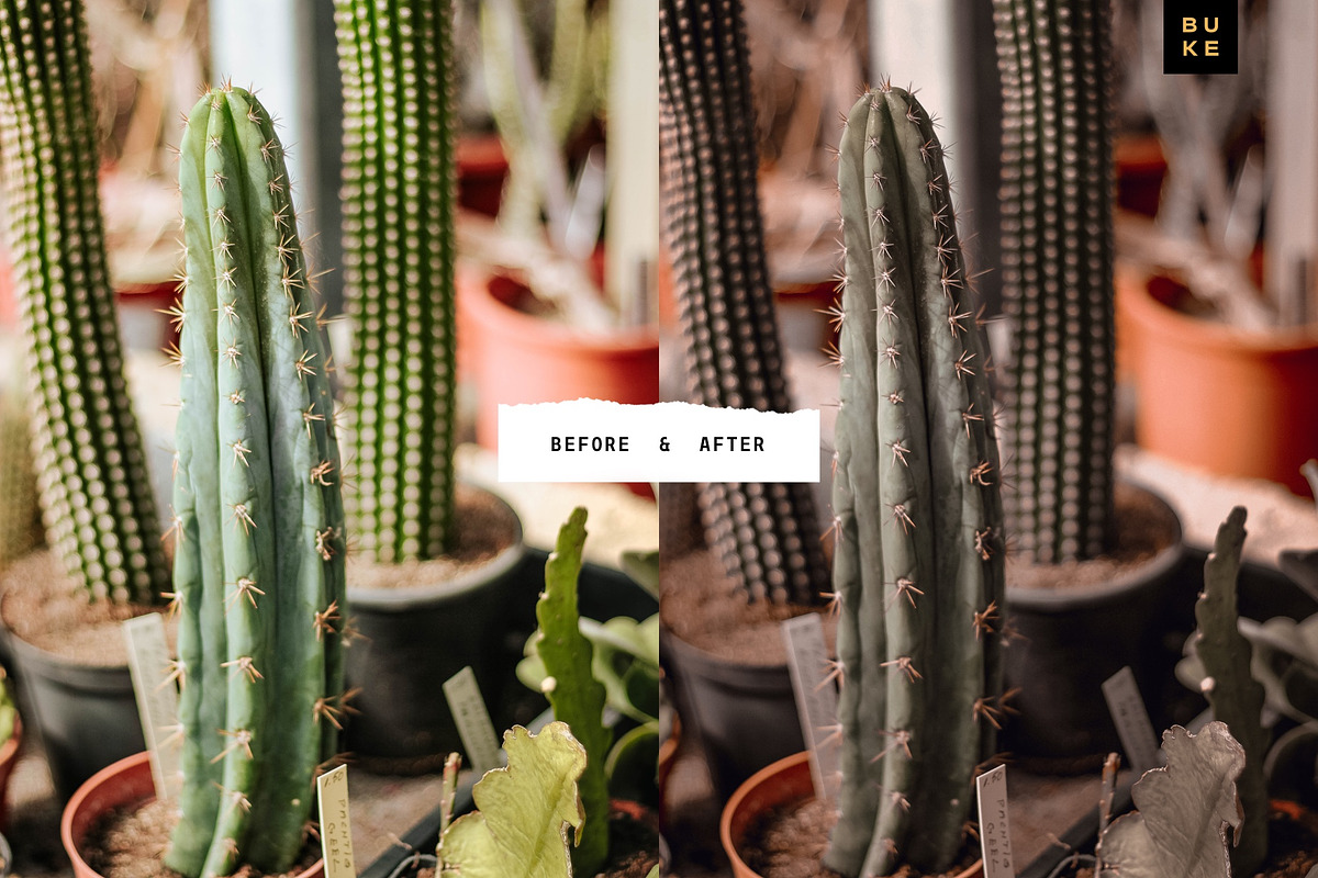 4 Moody Aesthetic Lightroom Presets, a Preset Add-On by SHOOM HOUSE (Photo 7 of 8)