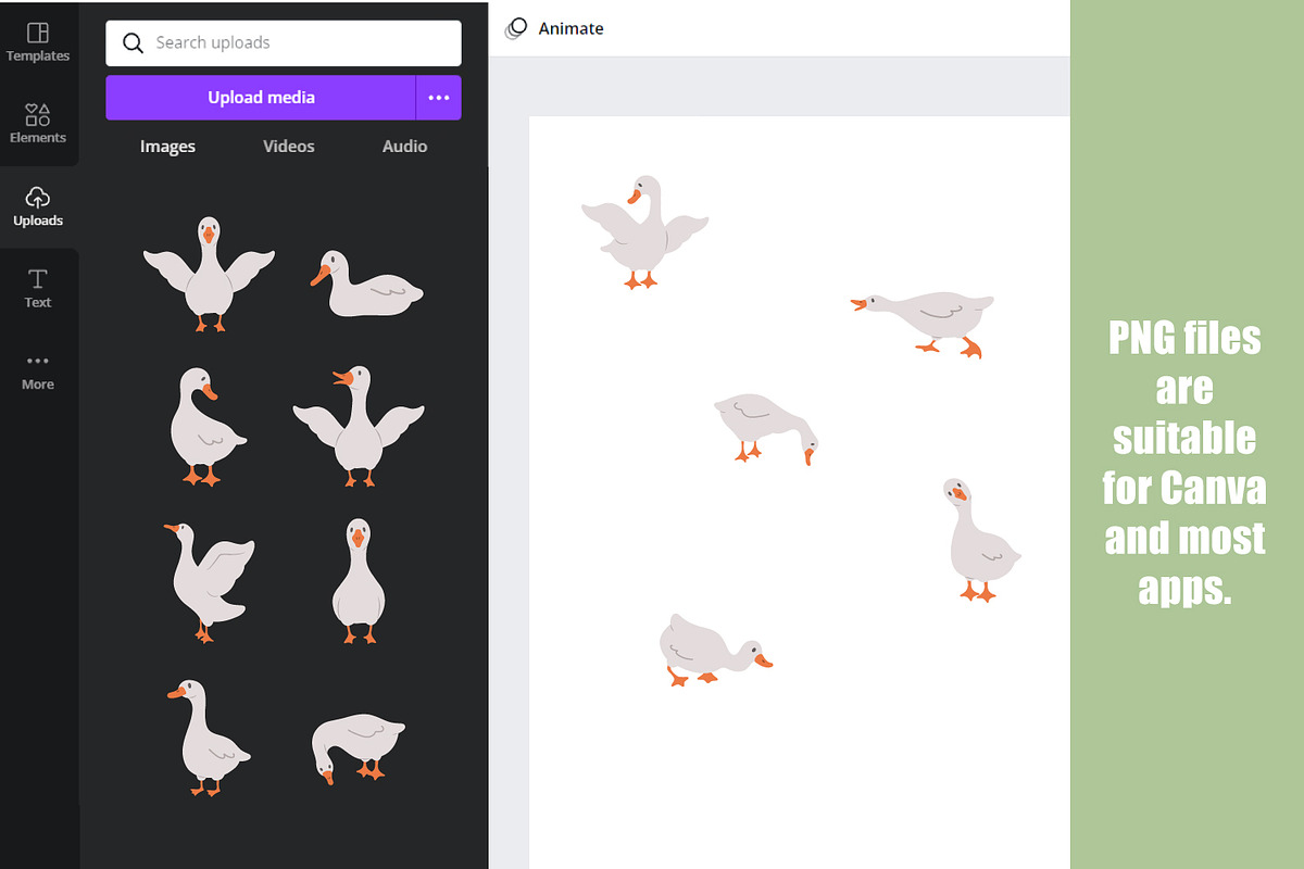 Cute geese clipart, an Animal Illustration by KeronnArt (Photo 4 of 4)