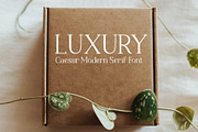 Caesur, a Serif Font by Sulthan Studio (Thumbnail 7 of 7)