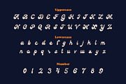 Antonin - Vintage Script Font, a Script Font by Rishsketch (Thumbnail 10 of 13)