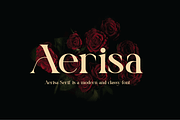 Aerisa, a Serif Font by Design House (Thumbnail 1 of 3)