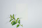 A5 Paper Mockups With Green Leaves, a Print Template by shahsoft (Thumbnail 3 of 3)
