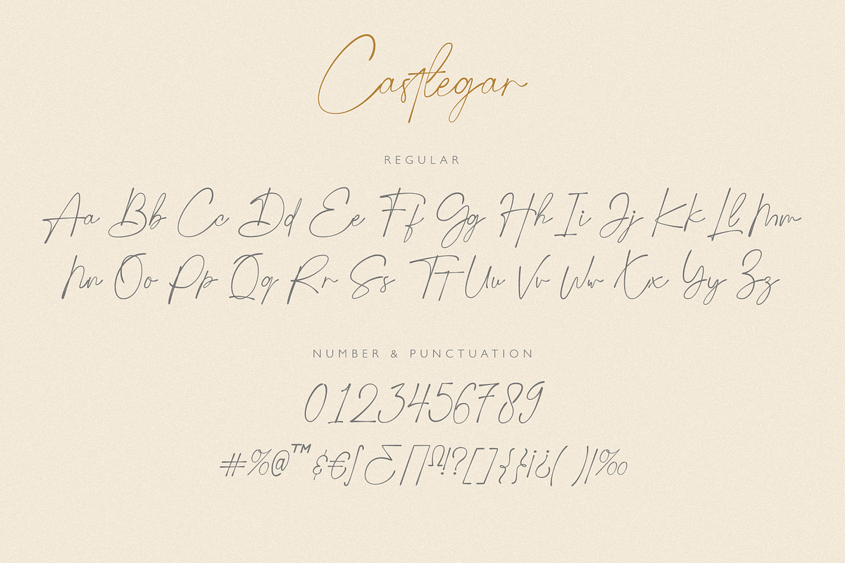 Castlegar Script, a Script Font by FactoryType Studio (Photo 9 of 12)