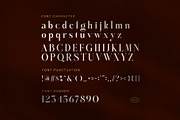 Halinka – Elegant Modern Serif Font, a Serif Font by Graphicxell (Thumbnail 7 of 8)