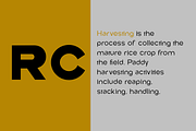 Rice Collect, a Sans Serif Font by groens (Thumbnail 2 of 6)