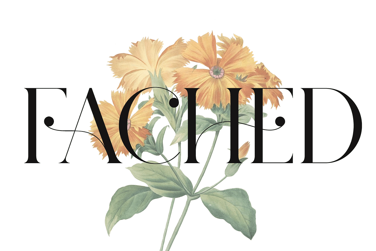 Pelagic Bird - Unique Ligature Font, a Serif Font by Yahya Type (Photo 11 of 22)