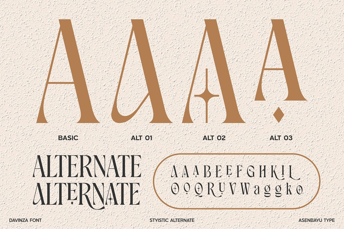 Davinza - Elegant Serif Font, a Serif Font by Asenbayu (Photo 10 of 14)