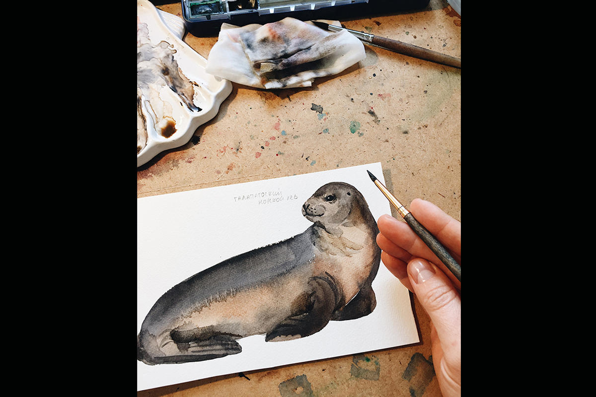 Seals - watercolor set, an Animal Illustration by KatBranchArt (Photo 4 of 6)