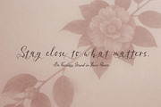 Komula Arsiva - Beautiful ink Script, a Script Font by HypeWorksCo (Thumbnail 9 of 15)